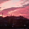 suriknic1fi