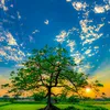 urfarhanahmed28