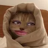 noinsecure_4