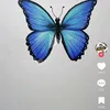 yasmine89708
