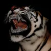 tiger60th
