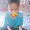 apis.aja689