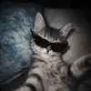 reignvoidmaxx_official_1