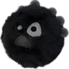 jisaonlycortis