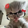 raybane_linda