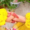 raradhia60