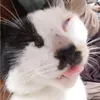 zzz_kiaa6