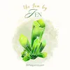 Gem by Jen