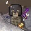 iannn7099