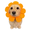 _tnmt10