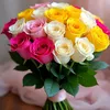 saima.zafar531