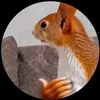 fiksik.tm