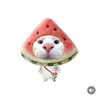 minh.khu7521