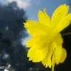 aung.nay585