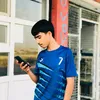 hamren_surchi0
