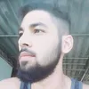 definozara3