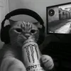 itzz.kevin_84