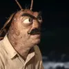 hamambocegi