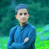irfan.shah9637
