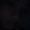 second.acc.ni.itz