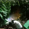 zikkolamnatural