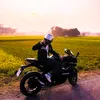 sojab42