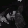 ll2yxii