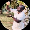 MULONGO. .OWENDIRA. .EBBIRI