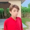 ali.bhatti1495