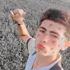 user5946731372277