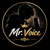 mrvoice234