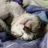liza_2490