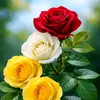 shaikhtanveer811