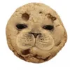 hungryseal10