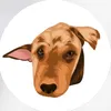 hostonrescue