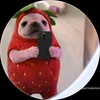 elperuanito676