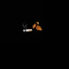 🚬🍂