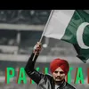 irfan.hussain3333