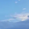 greenteaa20_
