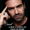 florinel6033