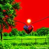 ail.hamza724