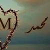 mmhmgmail.com1