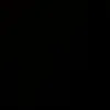 ff_18052007