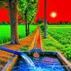 bhatti65490