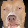 dherronward
