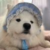 pious_q