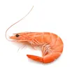 dr.shrimp.puerto.rico
