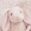 clean_girls_diray