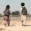 sajida.sajida659