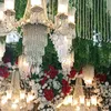 ayesha455259